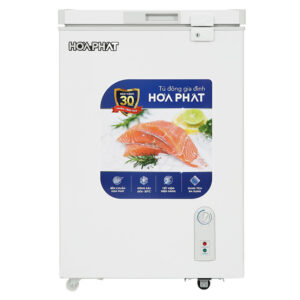Tủ đông mini 100L dàn nhôm